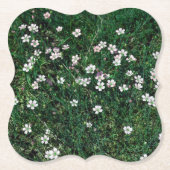 夏の牧草地の小さな白とライトピンクのワイルドフラワー ペーパーコースター (正面)