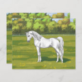 夏の牧草地の白エジプトのアラビア馬 (正面/裏面)