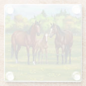 夏の牧草地の茶色のベイクォーターウマ ガラスコースター (裏面)