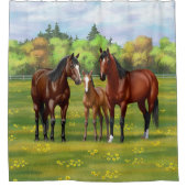 夏の牧草地の茶色のベイクォーターウマ シャワーカーテン (正面)