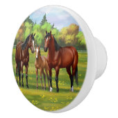 夏の牧草地の茶色のベイクォーターウマ セラミックノブ (右)