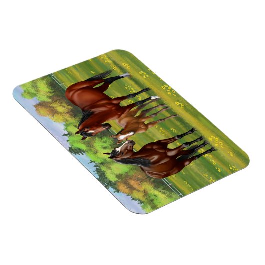 夏の牧草地の茶色のベイクォーターウマ マグネット (右側)