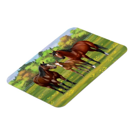 夏の牧草地の茶色のベイクォーターウマ マグネット (左側)