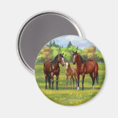 夏の牧草地の茶色のベイクォーターウマ マグネット (正面/裏面)