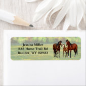 夏の牧草地の茶色のベイクォーターウマ ラベル (インサイチュ)