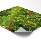 夏の牧草地の赤い野の花 ポスター (角)