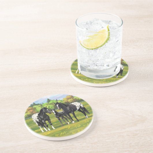 夏の牧草地の黒いアパルーサの馬 コースター (側面)