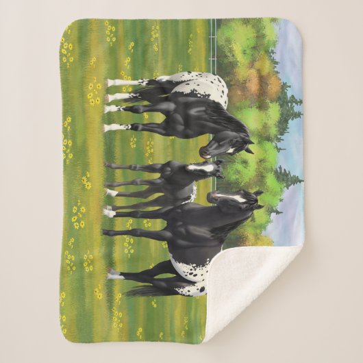 夏の牧草地の黒いアパロオーサの馬 シェルパブランケット (正面)