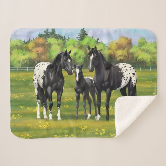 夏の牧草地の黒いアパロオーサの馬 シェルパブランケット (正面(横))