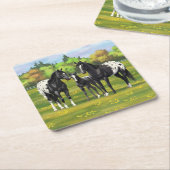 夏の牧草地の黒いアパロオーサの馬 スクエアペーパーコースター (アングル)