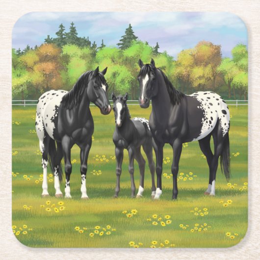 夏の牧草地の黒いアパロオーサの馬 スクエアペーパーコースター (正面)