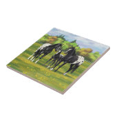 夏の牧草地の黒いアパロオーサの馬 タイル (側面)