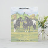 夏の牧草地の黒いアパロオーサの馬 レターヘッド (スタンド正面)