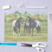 夏の牧草地の黒いアパロオーサの馬 薄葉紙 (クラフト)