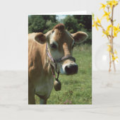 夏の牧草地グリーティングカードの茶色のジャージーの牛 カード (黄色い花)