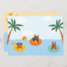 夏の犬のビーチ