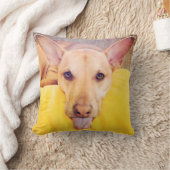 「夏の犬眩惑」の装飾用クッション クッション (ブランケット)