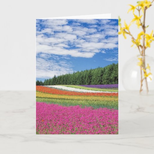 夏の畑の花の列 カード (黄色い花)