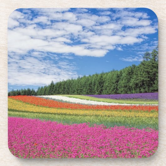 夏の畑の花の列 コースター (正面)