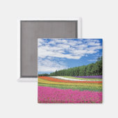 夏の畑の花の列 マグネット (正面/裏面)