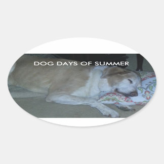 夏の白とベージュのラボの灰色の犬の日 楕円形シール