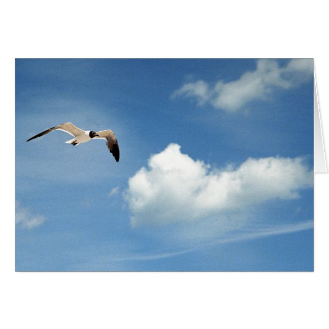 夏の空 (正面横)