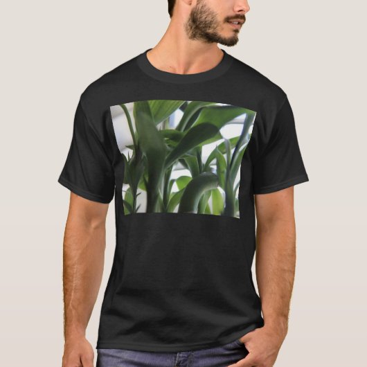夏の竹 Tシャツ (正面)