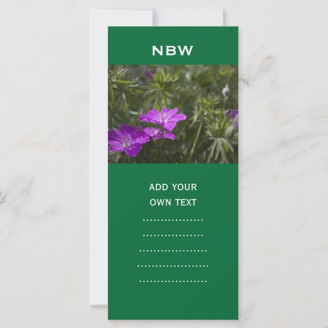 夏の紫の花 (正面)