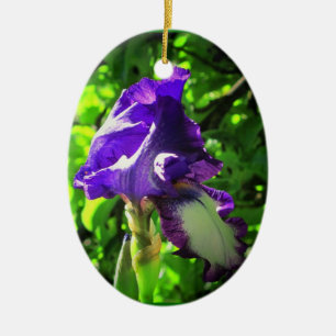 夏の紫菖蒲 セラミックオーナメント