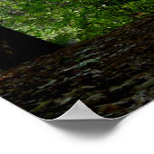 夏の終わりウォルデン池 ポスター (角)