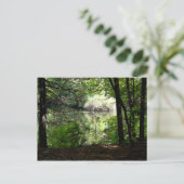 夏の終わりウォルデン池 ポストカード (スタンド正面)