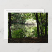 夏の終わりウォルデン池 ポストカード (正面/裏面)