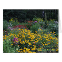 夏の終わり高いMullein Ridgeline