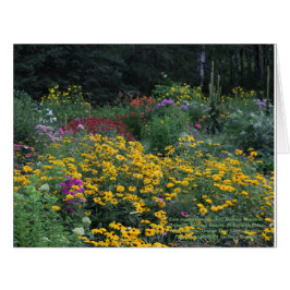 夏の終わり高いMullein Ridgeline