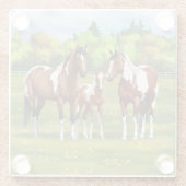 夏の絵を描牧草地のベイピント四分の馬 ガラスコースター (裏面)