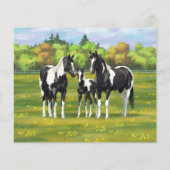 夏の絵を描牧草地の黒いピント四分の馬 (裏面)