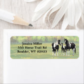 夏の絵を描牧草地の黒いピント四分の馬 ラベル (インサイチュ)