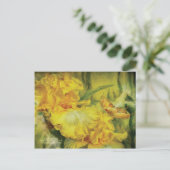 夏の絵葉書の女神 ポストカード (スタンド正面)