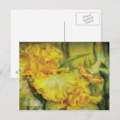 夏の絵葉書の女神 ポストカード (正面/裏面)