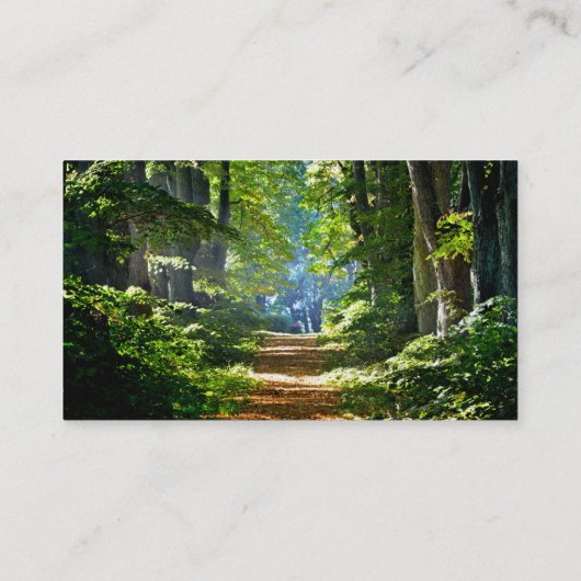 夏の美しい森の道 名刺 (裏面)