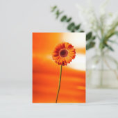 夏の美しい花 ポストカード (スタンド正面)