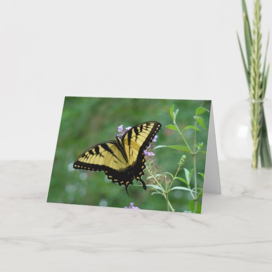 夏の美しさ カード (正面)