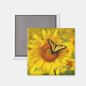 夏の翼、磁石 マグネット (正面/裏面)