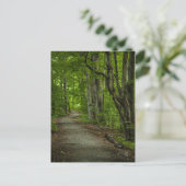 夏の聖なる森 ポストカード (スタンド正面)