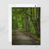 夏の聖なる森 ポストカード (正面/裏面)