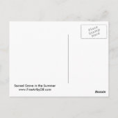 夏の聖なる森 ポストカード (裏面)