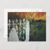 夏の至 ポストカード (正面/裏面)