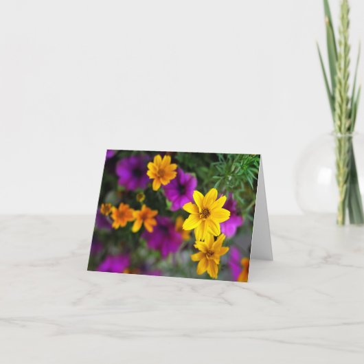 夏の色の空白のメモカード カード (正面)