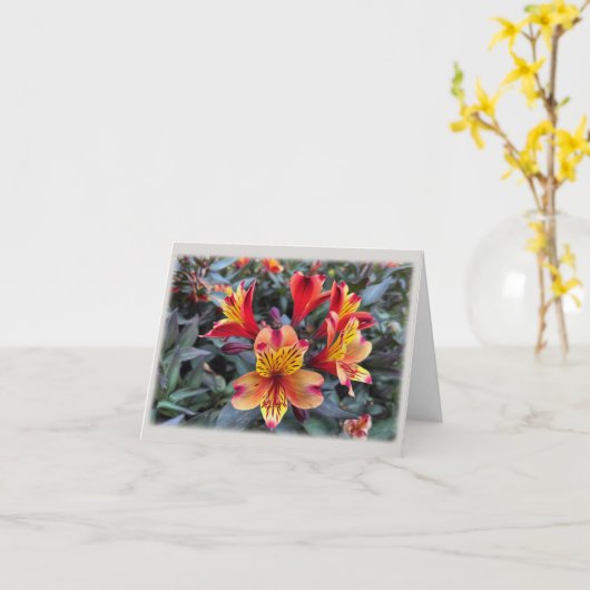 夏の色 カード (黄色い花)