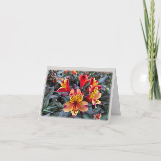 夏の色 カード (正面)